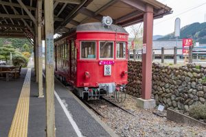 谷汲山華厳寺参道、谷汲駅、4月春の花、岐阜県揖斐郡の観光・撮影スポットの名所