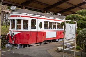 谷汲山華厳寺参道、谷汲駅、4月春の花、岐阜県揖斐郡の観光・撮影スポットの名所