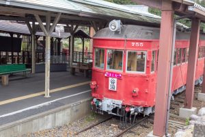 谷汲山華厳寺参道、谷汲駅、4月春の花、岐阜県揖斐郡の観光・撮影スポットの名所