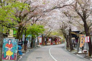 谷汲山華厳寺参道、桜、4月春の花、岐阜県揖斐郡の観光・撮影スポットの名所