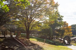 垂坂公園・羽津山緑地、 紅葉、三重県四日市市の観光・撮影スポットの名所