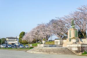 天王川公園、桜、3月の春の花、愛知県津島市の観光・撮影スポットの画像と写真