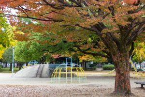 千種公園、紅葉、黄葉、11月秋、名古屋市千種区の観光・撮影スポットの画像と写真