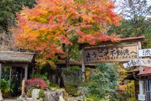 付知峡、紅葉、11月秋、岐阜県中津川市の観光・撮影スポットの名所