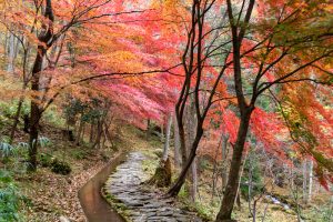 付知峡、紅葉、11月秋、岐阜県中津川市の観光・撮影スポットの名所