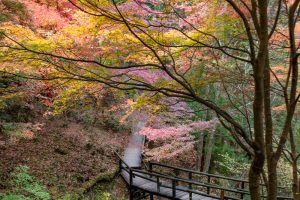付知峡、紅葉、11月秋、岐阜県中津川市の観光・撮影スポットの名所