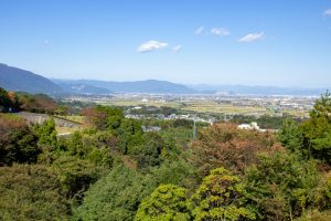 月見の森、展望台、岐阜県海津市の観光・撮影スポットの画像と写真