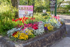 鶴舞公園、4月の春の花、名古屋市昭和区の観光・撮影スポットの画像と写真