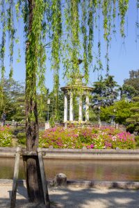 鶴舞公園、つつじ、4月の春の花、名古屋市昭和区の観光・撮影スポットの画像と写真