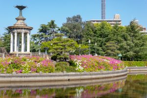 鶴舞公園、つつじ、4月の春の花、名古屋市昭和区の観光・撮影スポットの画像と写真4月の夏の花、名古屋市昭和区の観光・撮影スポットの画像と写真