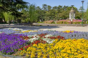鶴舞公園、4月の春の花、名古屋市昭和区の観光・撮影スポットの画像と写真