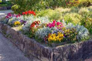 鶴舞公園、4月の春の花、名古屋市昭和区の観光・撮影スポットの画像と写真