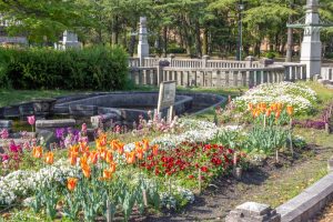 鶴舞公園、4月の春の花、名古屋市昭和区の観光・撮影スポットの画像と写真