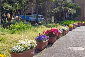 鶴舞公園、4月の春の花、名古屋市昭和区の観光・撮影スポットの画像と写真