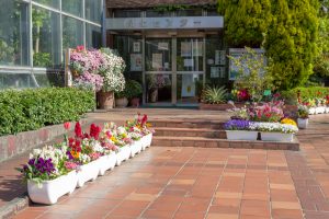 鶴舞公園、4月の春の花、名古屋市昭和区の観光・撮影スポットの画像と写真