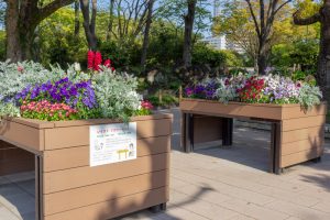 鶴舞公園、4月の春の花、名古屋市昭和区の観光・撮影スポットの画像と写真