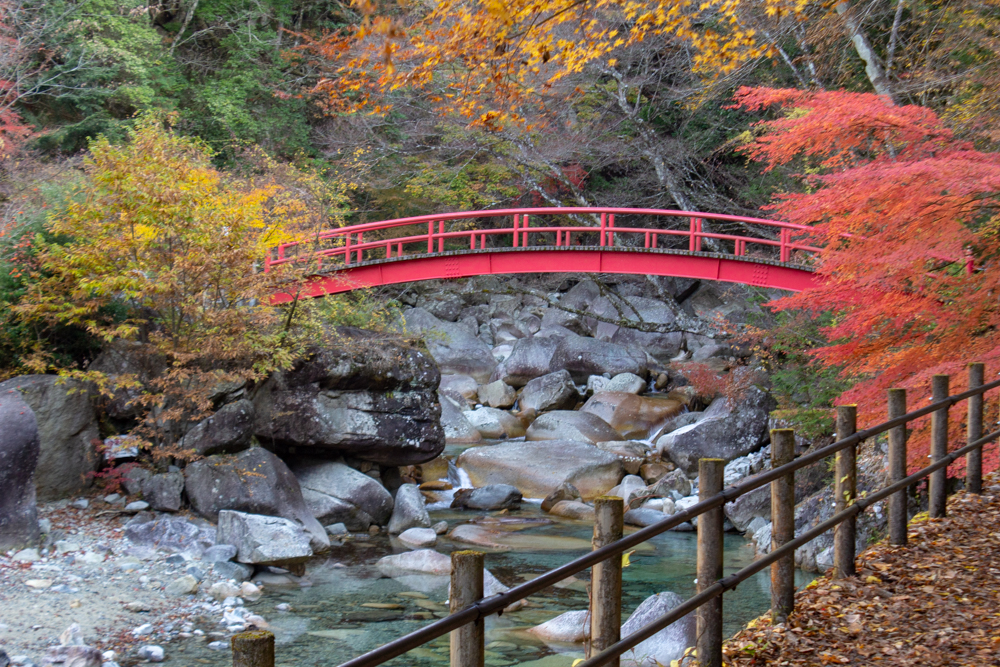 夕森公園、もみじ橋、11月秋、岐阜県中津川市の観光・撮影スポットの画像と写真