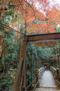 夕森公園、紅葉、11月秋、岐阜県中津川市の観光・撮影スポットの画像と写真