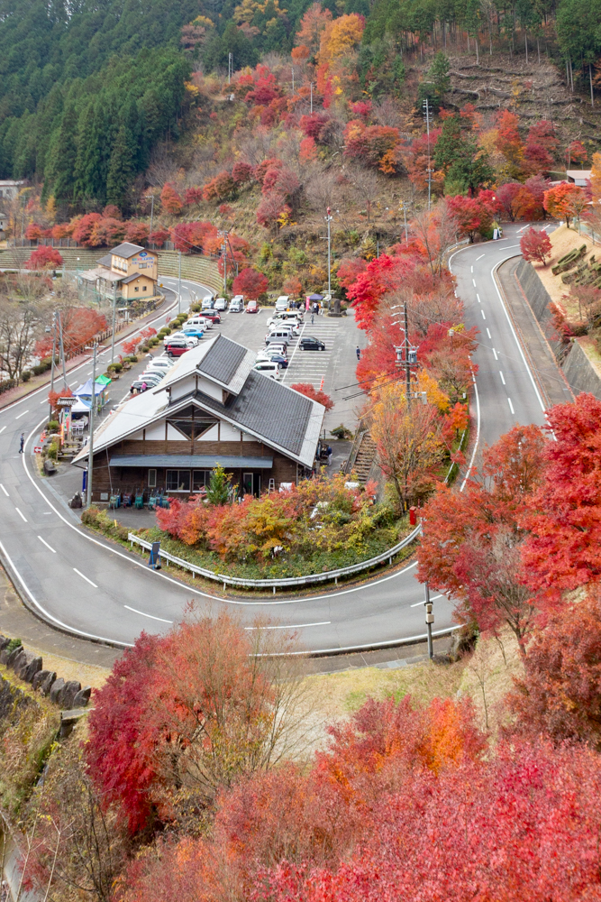 夕森公園、11月秋、岐阜県中津川市の観光・撮影スポットの画像と写真