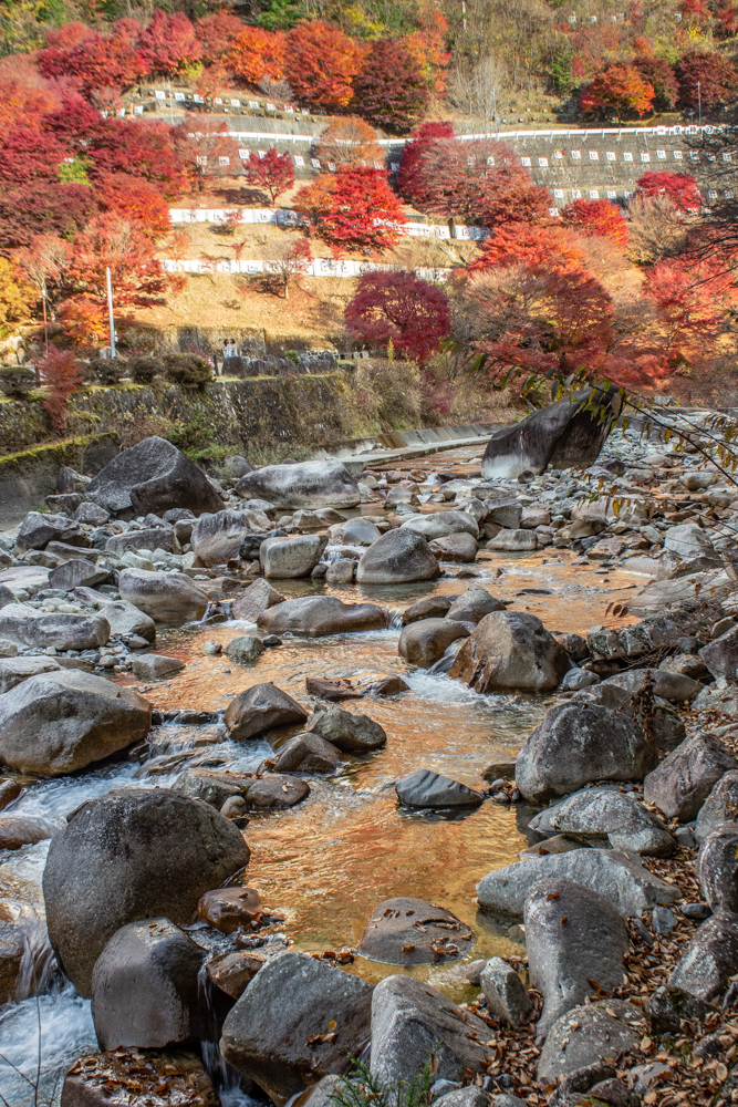 夕森公園、紅葉、11月秋、岐阜県中津川市の観光・撮影スポットの画像と写真