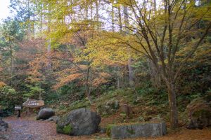 夕森公園、紅葉、11月秋、岐阜県中津川市の観光・撮影スポットの画像と写真
