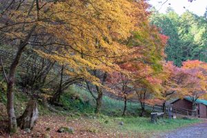 夕森公園、紅葉、11月秋、岐阜県中津川市の観光・撮影スポットの画像と写真