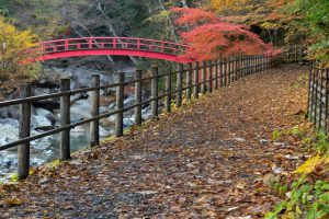夕森公園、もみじ橋、11月秋、岐阜県中津川市の観光・撮影スポットの画像と写真