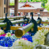 砥鹿神社、花手水舎、あじさい、6月の夏の花、愛知県豊川市の観光・撮影スポットの画像・写真