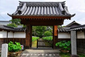 随応院、ハス、7月の夏の花、愛知県豊田市の観光・撮影スポットの画像と写真