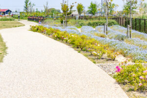 油ヶ淵水辺公園：自然ふれあい生態園、ネモフィラ、3月春の花、愛知県安城市の観光・撮影スポットの画像と写真