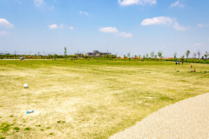 油ヶ淵水辺公園：自然ふれあい生態園、3月春の花、愛知県安城市の観光・撮影スポットの画像と写真