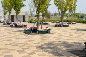 油ヶ淵水辺公園：自然ふれあい生態園、3月春の花、愛知県安城市の観光・撮影スポットの画像と写真