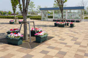 油ヶ淵水辺公園：自然ふれあい生態園、3月春の花、愛知県安城市の観光・撮影スポットの画像と写真
