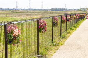油ヶ淵水辺公園：自然ふれあい生態園、3月春の花、愛知県安城市の観光・撮影スポットの画像と写真