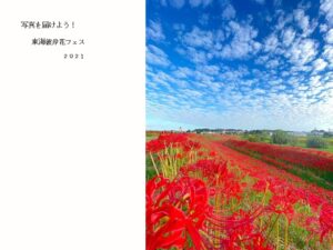 東海彼岸花フェス2021