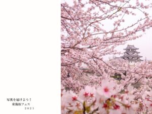 東海桜フェス2021