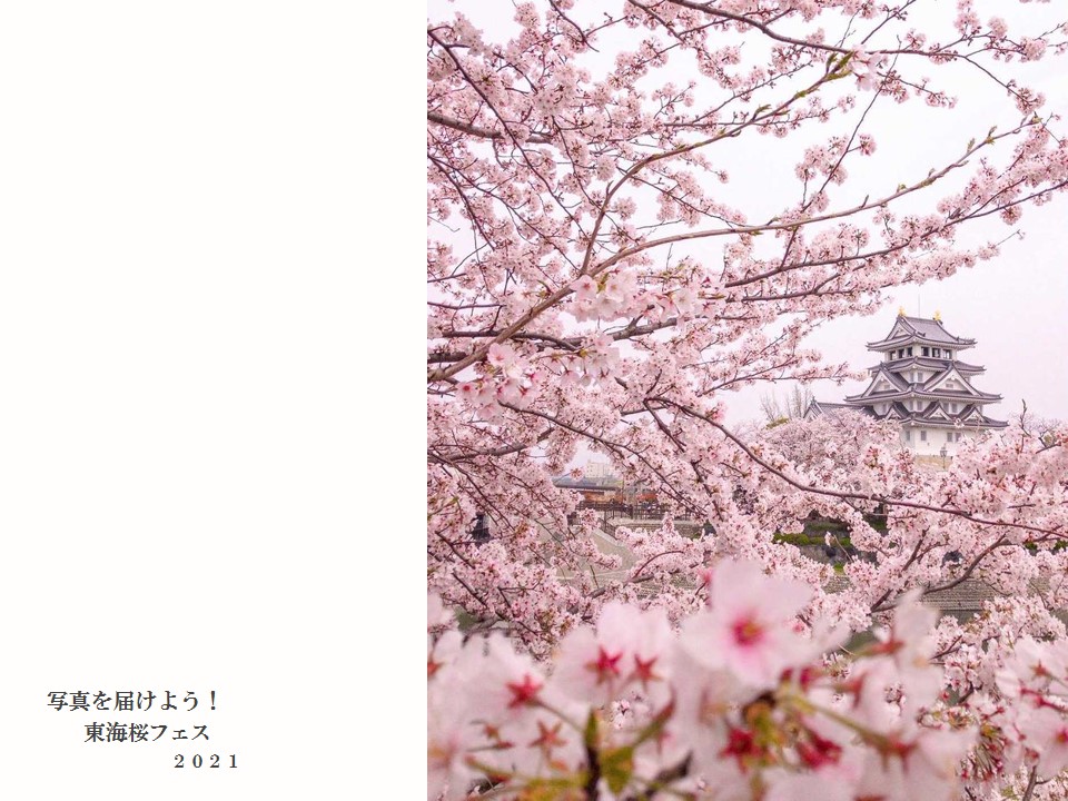 東海桜フェス2021