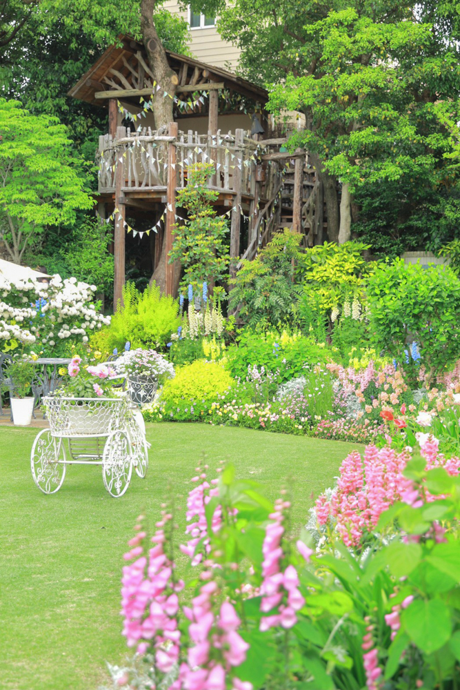 花遊庭、バラ、5月の夏の花、愛知県豊田市の観光・撮影スポットの画像と写真