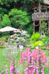 花遊庭、バラ、5月の夏の花、愛知県豊田市の観光・撮影スポットの画像と写真