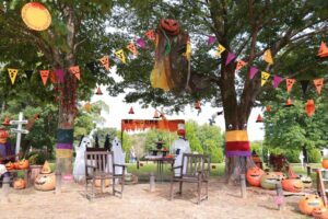 138タワーパーク、ハロウィン、ツインアーチ138、10月の秋の花、愛知県一宮市の観光・撮影スポットの画像と写真