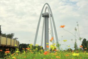 138タワーパーク、コスモス、ツインアーチ138、10月の秋の花、愛知県一宮市の観光・撮影スポットの画像と写真