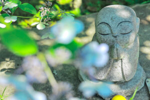 本光寺、あじさい、6月夏の花、愛知県額田郡の観光・撮影スポットの画像と写真