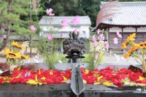 南宮大社、10月秋、岐阜県不破郡の観光・撮影スポットの画像と写真
