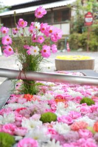 南宮大社、10月秋、岐阜県不破郡の観光・撮影スポットの画像と写真