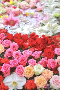 上飯田六所宮、花手水舎、名古屋市北区の観光・撮影スポットの名所