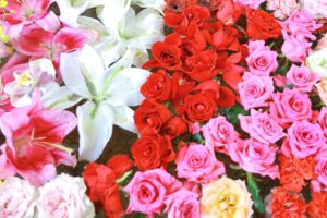 上飯田六所宮、花手水舎、名古屋市北区の観光・撮影スポットの名所