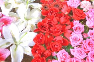 上飯田六所宮、花手水舎、名古屋市北区の観光・撮影スポットの名所