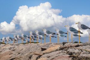 佐久島、カモメの教室、アートの島、愛知県西尾市佐久島の観光・撮影スポットの画像と写真