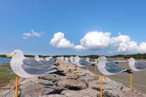 佐久島、カモメの教室、アートの島、愛知県西尾市佐久島の観光・撮影スポットの画像と写真