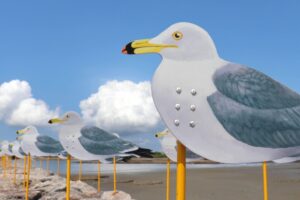 佐久島、カモメの教室、アートの島、愛知県西尾市佐久島の観光・撮影スポットの画像と写真